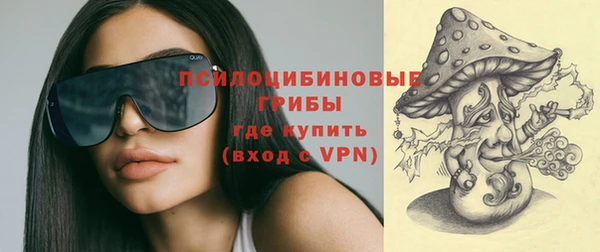 метадон Алексин