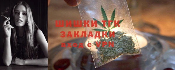 гашик Алексеевка