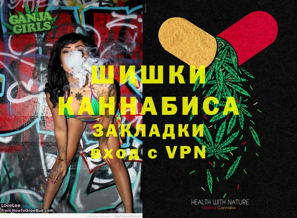 гашик Алексеевка