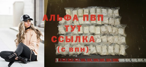 СК Вяземский