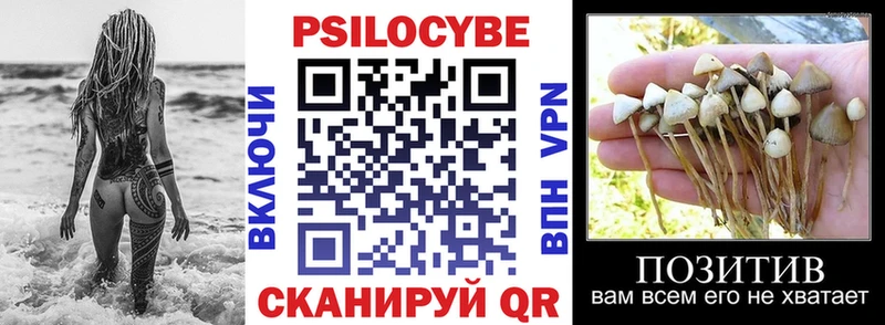 наркотики  Миасс  Галлюциногенные грибы Psilocybe 