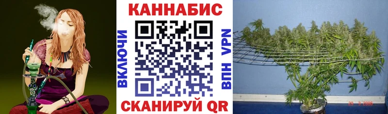 blacksprut как зайти  shop состав  Шишки марихуана Ganja  Миасс 